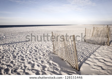 White sand dunes of Alabama Gulf Shores