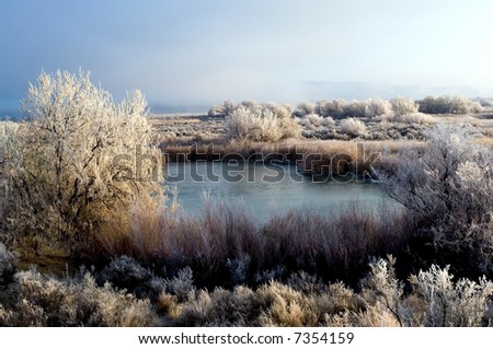 Winter landscape in rural Idaho