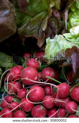Organic radish and lettuce on farmers farket stand in Vancouver