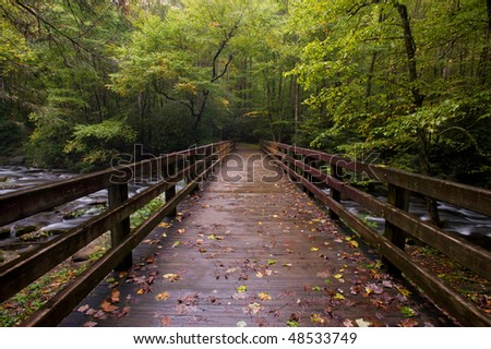 Bridge over mountain stream in Great Smoky Mountains national park