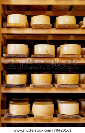 World famous Croatian Pag cheeses on the shelves of dairy