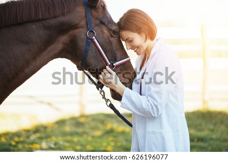 Vet petting a horse outdoors at ranch.