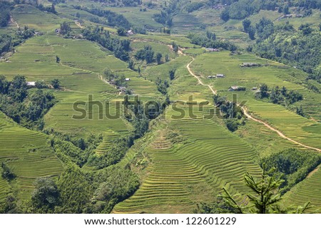 Paddy fields and village houses in mountains  in northern Vietnam