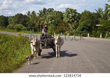 SIEM REAP, CAMBODIA - JULY 16: Poor man on his water buffalo cart on July 16, 2012 near Siem Reap, Cambodia. In Cambodia, GDP per capita is only $2,361.