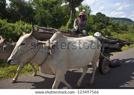 SIEM REAP, CAMBODIA - JULY 16: Poor man on his water buffalo cart on July 16, 2012 near Siem Reap, Cambodia. In Cambodia, GDP per capita is only $2,200 (CIA Factbook).