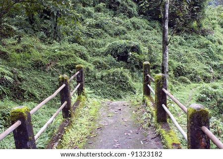 Path through jungle in Sikkim, India