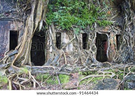 Ruin of abandoned building covered with roots on Ross Island. Andaman Islands, India