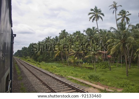 Palm trees next to a railway line in South India