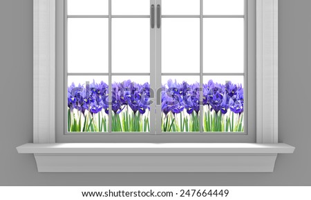 Beautiful spring irises flowering outside a house window