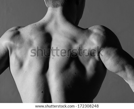 Young muscle man posing