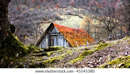Small cottage in the forest