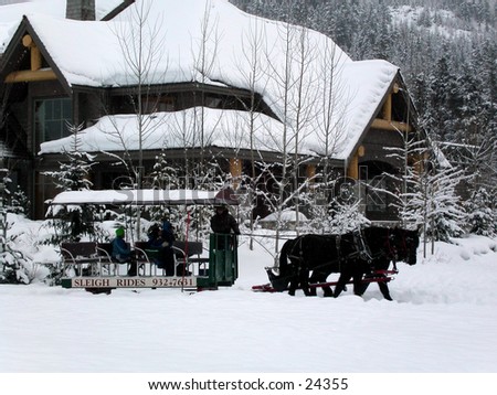 Holiday, travel, horse, sled, snow, recreation