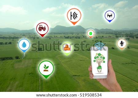 Internet of things(agriculture concept),smart farming.The farmer using application in phone to control and monitor the condition by wireless sensor system in the agriculture field