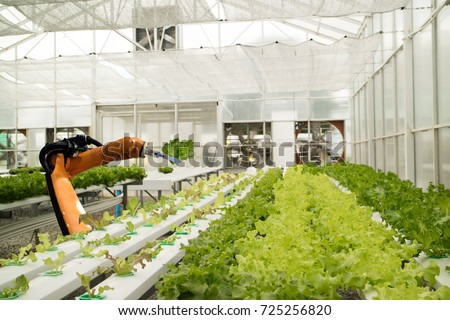 smart robotic in agriculture futuristic concept, robot farmers (automation) must be programmed to work in the vertical or indoor farm for increase efficiency, growing a seed, harvesting, reduce time