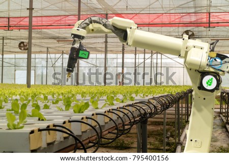 smart robotic in agriculture futuristic concept, robot farmers (automation) must be programmed to work to spray chemical,fertilizer or increase efficiency, growing a seed, harvesting, reduce time