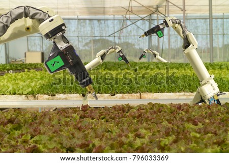 smart robotic in agriculture futuristic concept, robot farmers (automation) must be programmed to work to spray chemical,fertilizer or increase efficiency, growing a seed, harvesting, reduce time