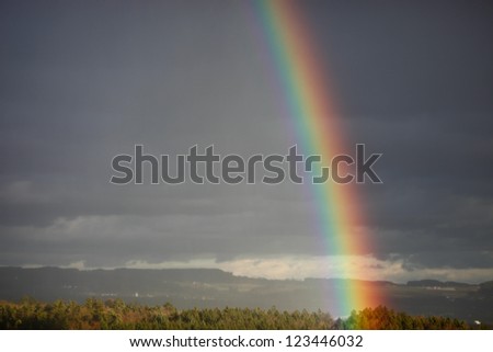 rainbow above forest