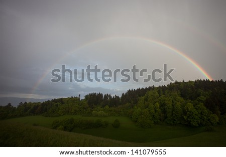 rainbow over forest