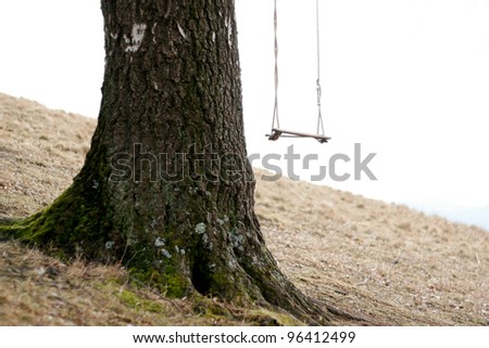 swing on tree