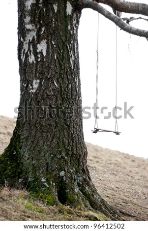swing on tree