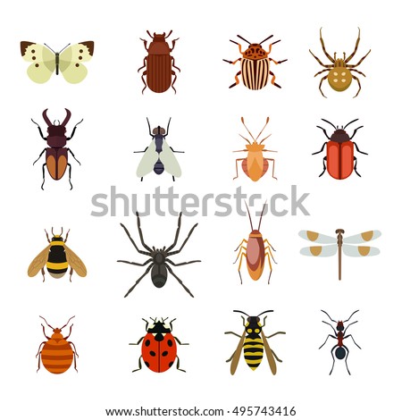 Insect icons flat set isolated on white background. Insects flat icons vector illustration. Nature flying insects isolated icons. Ladybird, butterfly, beetle vector ant. Vector insects