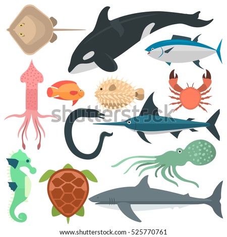 Sea animals vector illustration.