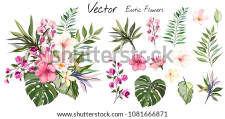 Tropical vector flowers. card with floral illustration. Bouquet of flowers with exotic Leaf isolated on white background. composition for invitation to party or holiday