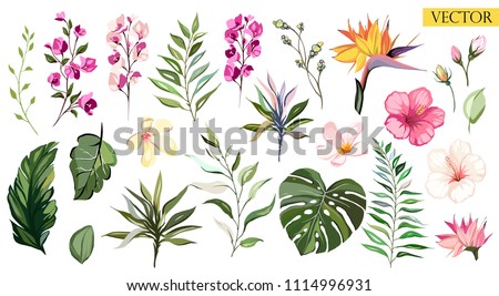 Tropical vector flowers. set  floral illustration. exotic Leaf isolated on white background. fcollection with flowers for invitation to party or holiday