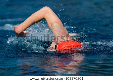 swimmer in a contest