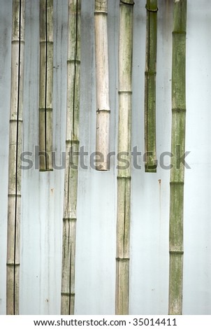 zen bamboo background