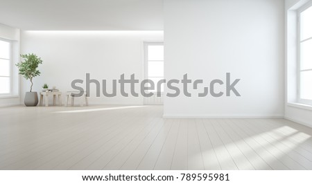 Indoor plant on wooden floor with white wall background in large room at modern new house for big family, Vintage window and door of empty hall or natural light studio -Home interior 3d illustration