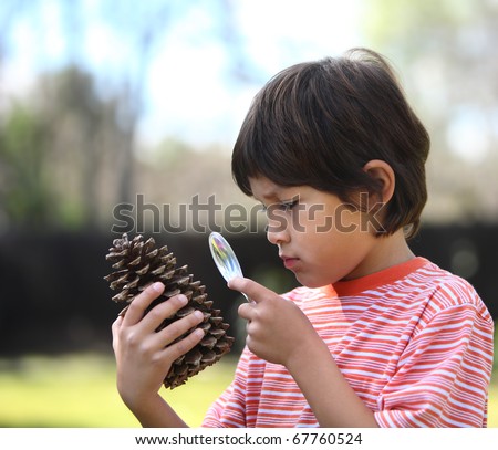 Young curious boy inspects a pine cone with a magnifying glass under natural outdoor lighting