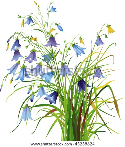 Bell-Flowers Stock Vector Illustration 45238624 : Shutterstock