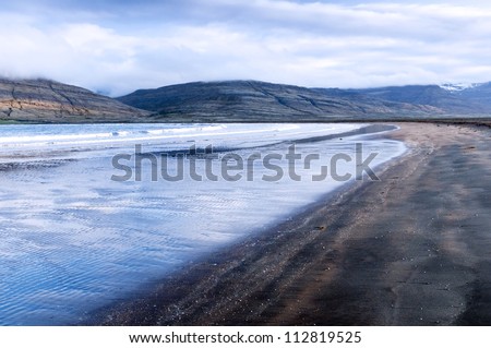 Black sand beach at low tide and mountains in the background, Iceland