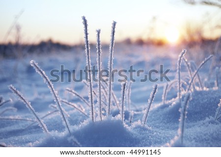Sunrise in winter landscape