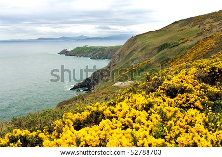The landscape with coastline and a lighthouse of Howth Head, Ireland.