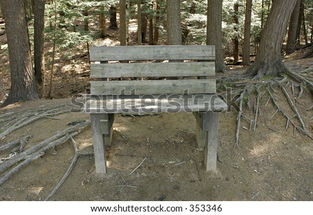 Forest Bench