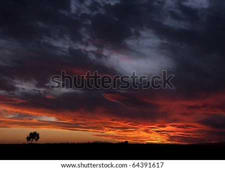 landscape of sunset with cloudy orange sky and a small lonely silhouette of tree