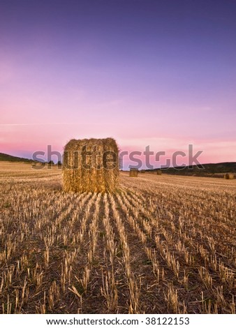 Mowed wheat field with the light of dawn. Field lines converging on a bale of straw