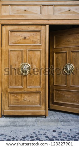 A brown opened door with beautiful bronze retro style carved lion head handle (knocker)