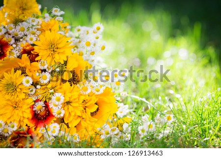 Bouquet of spring flowers lying on green grass
