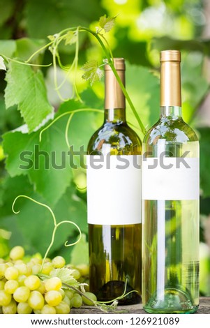 White wine bottles and bunch of grapes against vineyard