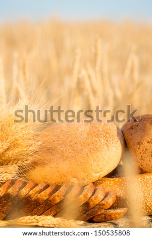 Bread and wheat on the wooden table in autumn field