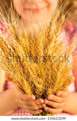 Child holding yellow autumn wheat ears in hands