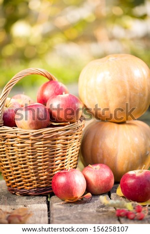Fruits and vegetables in autumn outdoors. Thanksgiving holiday concept