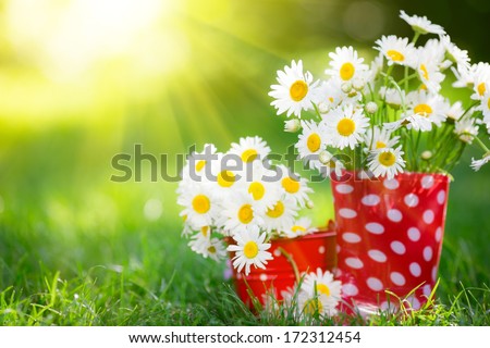Beautiful bunch of spring flowers in red rubber boots Beautiful bunch of spring flowers in red rubber boots