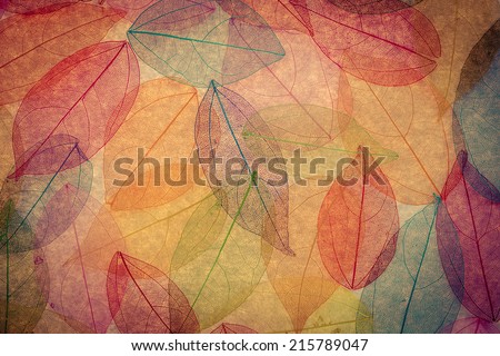Autumn background. Fall leaves texture