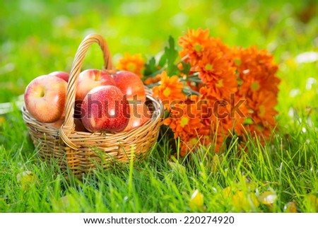 Fruits and flowers in autumn outdoors. Thanksgiving holiday concept