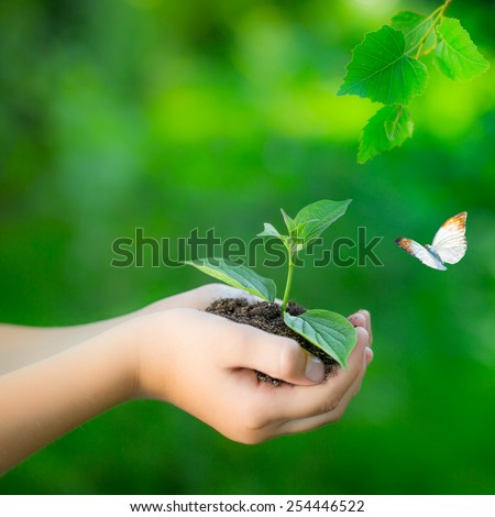 Child holding young plant in hands against spring green background. Ecology concept. Earth day