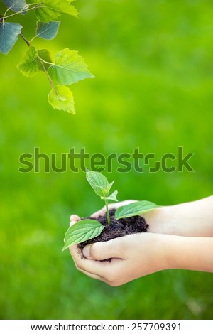 Child holding young plant in hands against spring green background. Ecology concept. Earth day